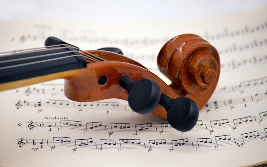 violin, musical instrument, instrument